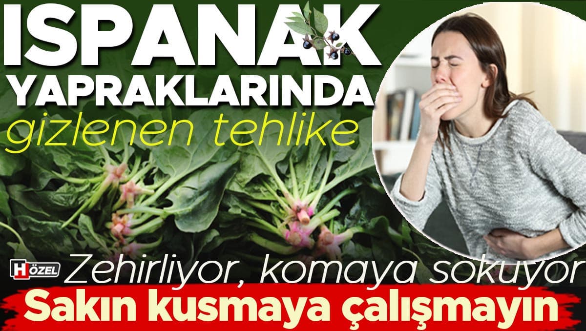 Türk Sofrasına Sızan Zehirli Tuzak: Güzelavrat Otu Tehdidi