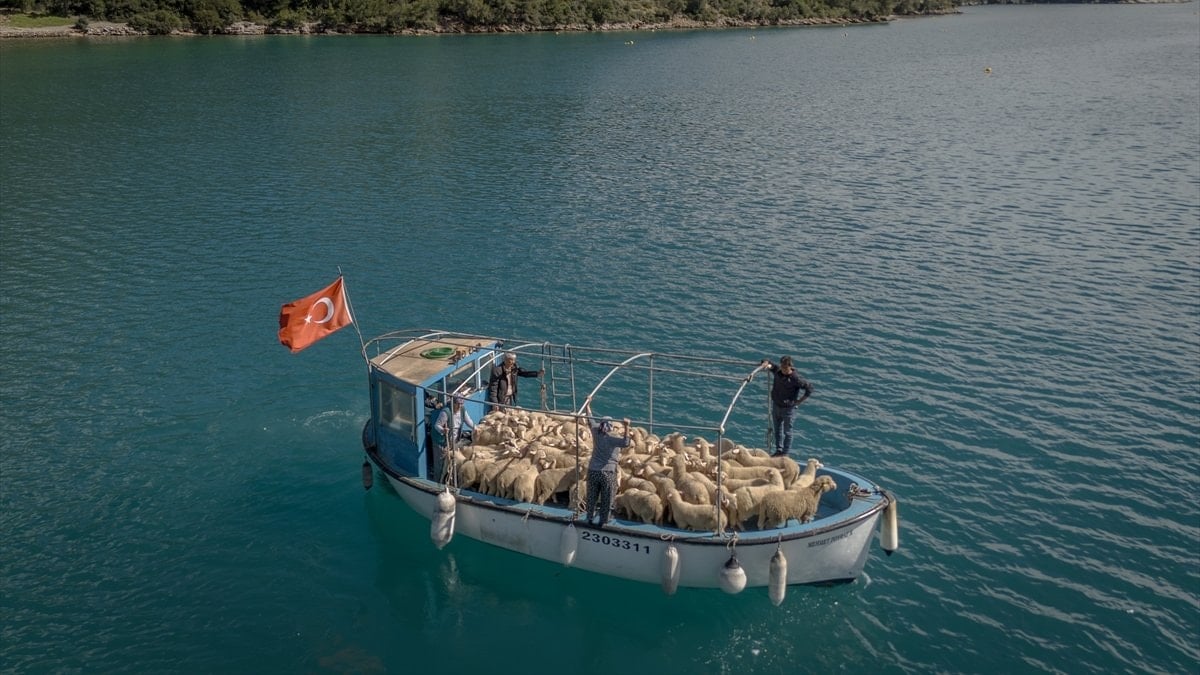 Bozkırın Evlatları: Karadan Denize Kadim Türk Göçü